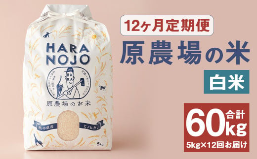 【12ヶ月定期便】原農場の米（白米） 5kg 計60kg 1204444 - 熊本県菊池市