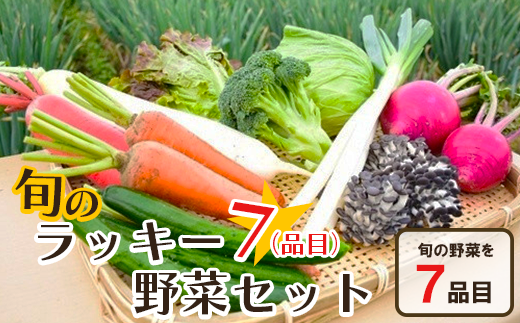 旬のラッキー７野菜セット（野菜７種詰合せ）　【11218-0114】