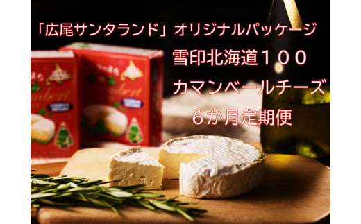 カマンベールチーズ６個×６か月定期便【奇数月発送】(0046) 1211125 - 北海道広尾町