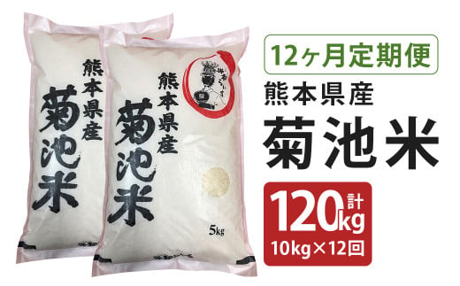 【定期便12回】菊池米 合計120kg(毎月5kg×2袋) 令和5年産 1186792 - 熊本県菊池市