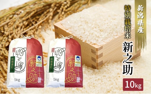 【カガヤキ農園】特別栽培米　新之助10kg(5kg×2)