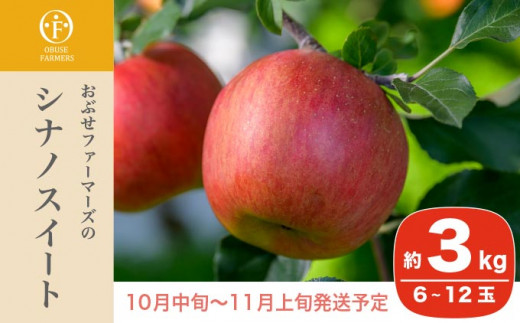 長野を代表するりんごの一つが「シナノスイート」です。濃厚な甘みが特徴で、酸味が少ないので年代問わず幅広い層に人気です。