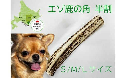 天然素材を使用　エゾシカの角（犬用おもちゃ）Ｓサイズ（AL0001） 1023698 - 北海道広尾町