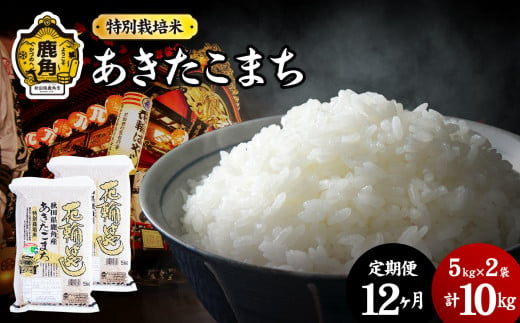 《先行予約》【定期便】令和6年産 特別栽培米「花輪ばやし（あきたこまち）」乾式無洗米 10kg × 12ヶ月 毎月配送【安保金太郎商店】 294149 - 秋田県鹿角市