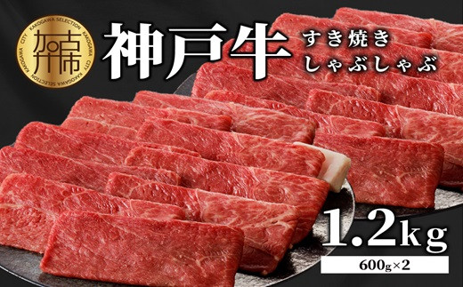  ★選べる配送月★【3月発送】 神戸牛しゃぶしゃぶ・すきやき1.2kg(600ｇ×2) 《 すき焼き しゃぶしゃぶ 神戸牛 1.2kg  国産 送料無料 お取り寄せ 牛肉 小分けタイプ 美味しい おすすめ 》【2404A00216-03】