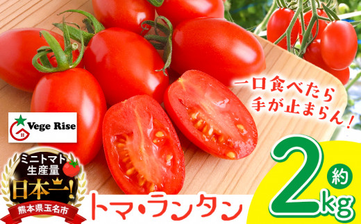ミニトマト生産量 日本一 玉名市 !！ 「 トマ・ランタン 」 約 2kg ミニトマト トマト Vege Rise 野菜 高糖度 濃厚 アイコ