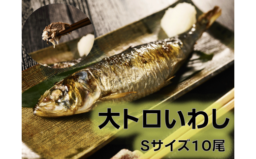 【RevoFish】大トロいわし Sサイズ【10尾】(AM0001)