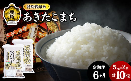 【定期便】令和6年産 特別栽培米「花輪ばやし（あきたこまち）」乾式無洗米 10kg × 6ヶ月 毎月配送【安保金太郎商店】 294155 - 秋田県鹿角市