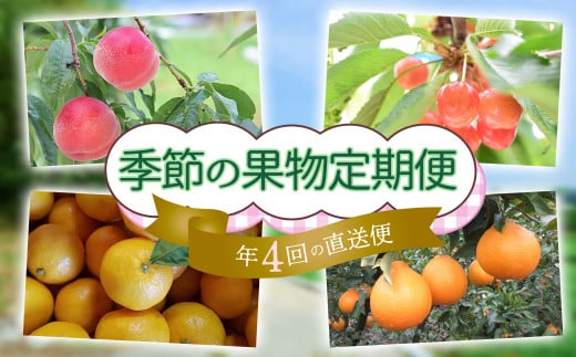 M-DH4.【年４回 季節の果物をお届け】 季節の果物定期便 759848 - 奈良県桜井市
