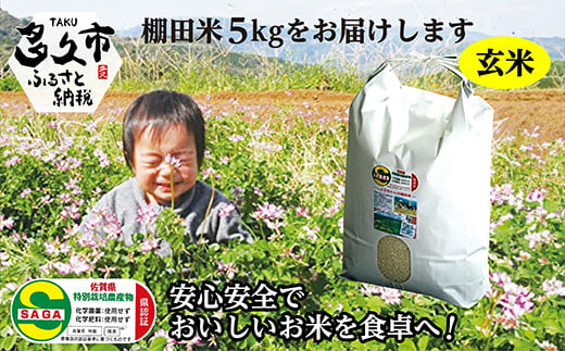 b-94 【 令和5年産 米 】 夢しずく 玄米 5kg | しょうちゃんの 棚田米 | 栽培期間中農薬・化学肥料不使用 397212 - 佐賀県多久市