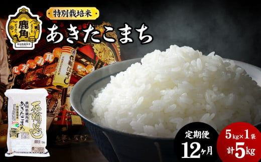 《先行予約》【定期便】令和6年産 特別栽培米「花輪ばやし（あきたこまち）」乾式無洗米 5kg × 12ヶ月 毎月配送【安保金太郎商店】 294160 - 秋田県鹿角市