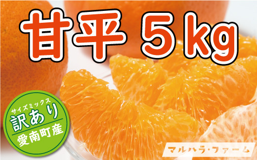 訳あり 甘平 5kg 13000円 （発送期間：2月上旬～無くなり次第終了