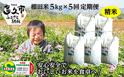 精米定期便　しょうちゃんの棚田米農薬・化学肥料不使用夢しずく