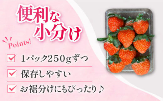 恋みのり 長崎県産 いちご 1kg（250g×4パック）フルーツ 果物 イチゴ