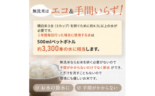 コシヒカリ無洗米 時間短縮ができる便利な小分けのお米セット 真岡市