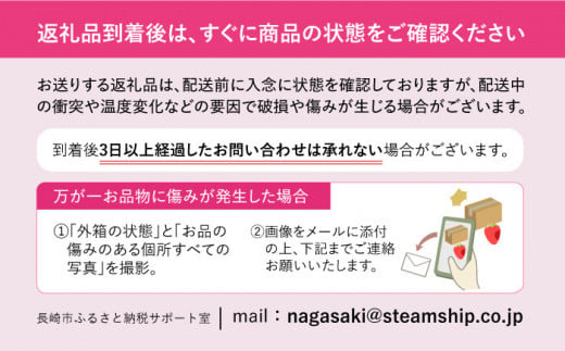 恋みのり 長崎県産 いちご 1kg（250g×4パック）フルーツ 果物 イチゴ