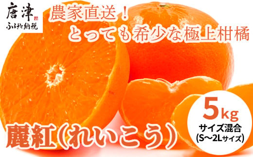 『予約受付』【令和7年1月下旬発送】麗紅(れいこう）ハウス栽培 唐津産 5kg 混合サイズ みかん 蜜柑 柑橘 果物 フルーツ
