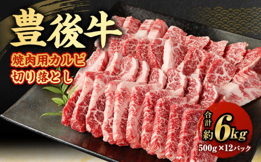 【大分県産】 豊後牛 焼肉用 カルビ 切り落とし 約6kg (約500g×12パック)