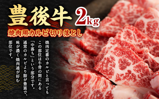 【大分県産】 豊後牛 焼肉用 カルビ 切り落とし 約2kg (約500g×4パック)