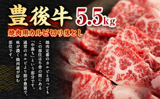 【大分県産】 豊後牛 焼肉用 カルビ 切り落とし 約5.5kg (約500g×11パック)