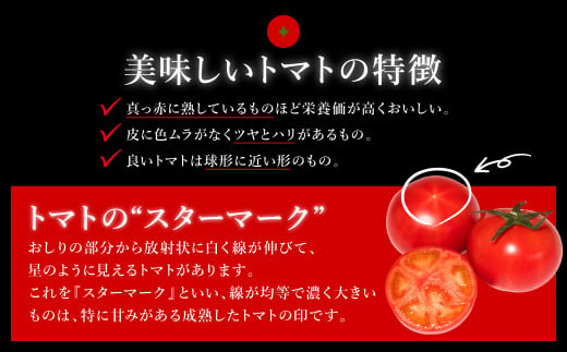 【期間限定】 くまもと塩トマト ロイヤルセレブ トマト 1kg（9個～16個） 糖度10度以上 厳選 希少 はちべえ トマト 熊本県産 八代市産  塩トマト ギフト 贈答用