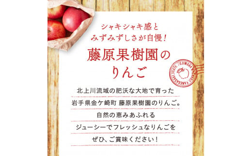 訳あり】りんご 奥州ロマン 1.8kg 8〜9玉 小ぶり 数量限定 期間限定 高糖度 希少 リンゴ 林檎 フルーツ 果物 金ケ崎町産 岩手県 -  岩手県金ケ崎町｜ふるさとチョイス - ふるさと納税サイト