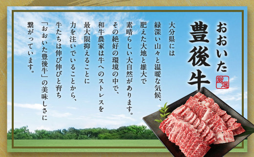 【大分県産】 豊後牛 焼肉用 カルビ 切り落とし 約1kg (約500g×2パック)