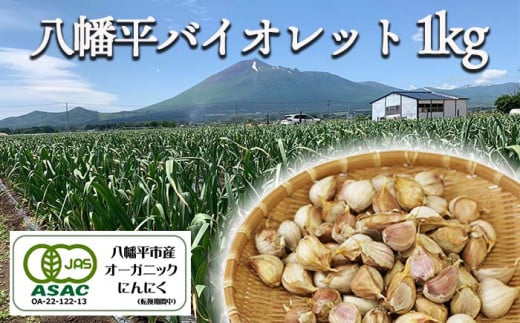 オーガニックにんにく 八幡平バイオレット 1000g（バラ） ／ すばるファーム ニンニク 大蒜 野菜 産地直送 689251 - 岩手県八幡平市