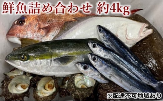 [№5681-0122]旬の獲れたて鮮魚詰め合わせ 約4kg 782572 - 山口県阿武町