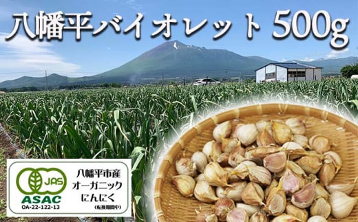 オーガニックにんにく 八幡平バイオレット 500g（バラ） ／ すばるファーム ニンニク 大蒜 野菜 産地直送 689250 - 岩手県八幡平市