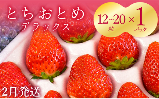 【2月発送】いちご　とちおとめDX　1箱（12～20粒） 350868 - 茨城県鉾田市