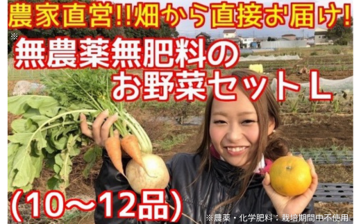 BR002 松戸市の４人家族から旬の自然栽培野菜セットＬ 319515 - 千葉県松戸市
