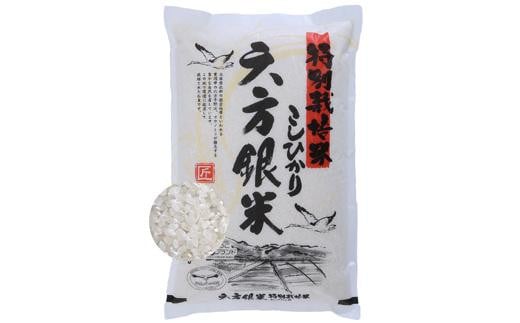 特別栽培米こしひかり　六方銀米　白米10kg 912441 - 兵庫県豊岡市