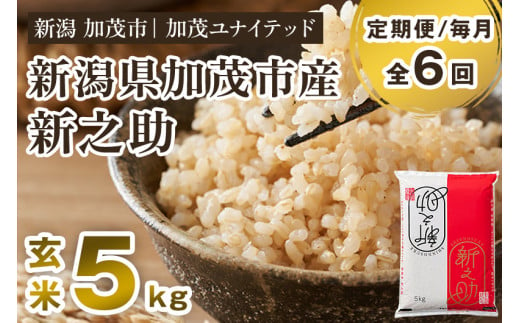 【令和6年産新米先行予約】【定期便6ヶ月毎月お届け】新潟県産 新之助 玄米5kg 《5kg×1袋》 新潟 ブランド米 加茂市 加茂ユナイテッド 1231494 - 新潟県加茂市