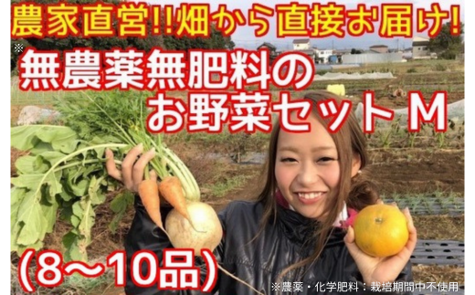 BR001 松戸市の４人家族から旬の自然栽培野菜セットM