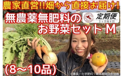 BR004 【3ヶ月毎定期便4回】松戸市の4人家族から旬の自然栽培野菜セットM