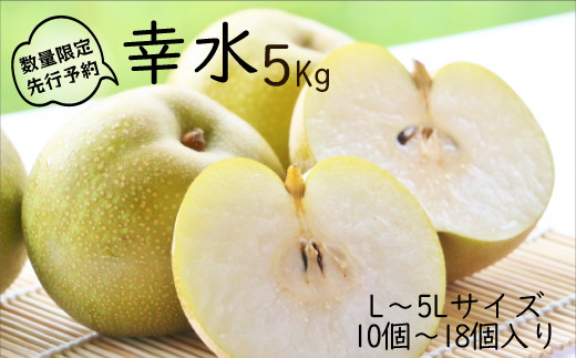 【先行予約】 柴沼梨園の梨（幸水）5kg 879025 - 茨城県笠間市