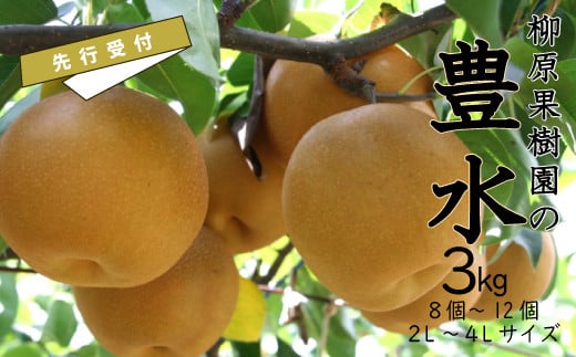 [先行受付]柳原果樹園の梨(豊水)3kg