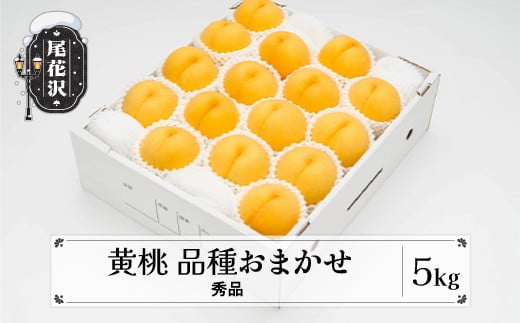 先行予約 もも 有袋黄桃 秀品 品種おまかせ 5kg  化粧箱入 フルーツ 果物 2025年産 令和7年産 山形県産 ns-mootx5 1122261 - 山形県尾花沢市