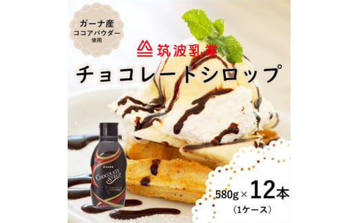 (G663)【大容量】チョコレートシロップ５８０ｇ×１２本（チョコレートソース）　チョコ　チョコレート　チョコレートシロップ　チョコレートソース　アイス　アイスクリーム　大容量 1214430 - 茨城県石岡市