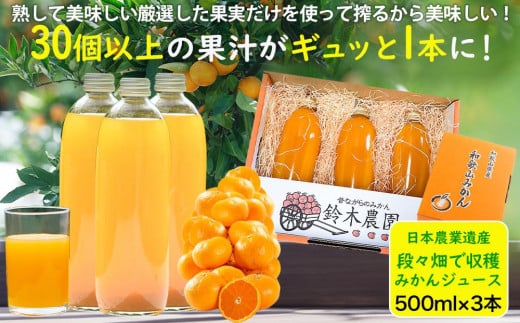 みかんジュース 無添加ストレートの美味しい蔵出しみかん果汁 ミカンをそのまま絞った濃厚な味 ５００ｍｌ×3本 966096 - 和歌山県海南市