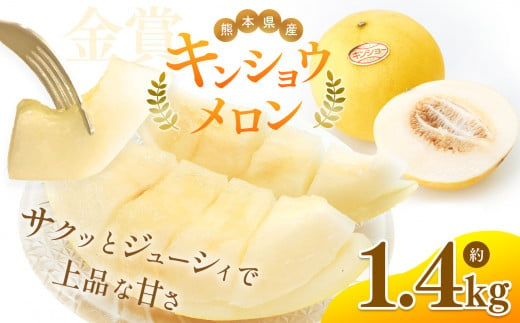 熊本県たまな産 キンショウ メロン 2玉 ( 約 1.4kg ) | 旬 果物 フルーツ メロン 熊本県 玉名市 くまもと たまな