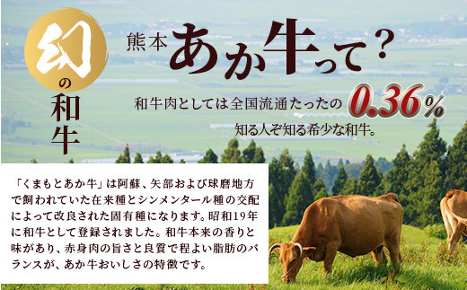 熊本あか牛 切り落とし 計1Kg (500g×2) 国産 牛肉 冷凍 熊本 熊本県産 あか牛 赤牛 切り落とし 041-0136