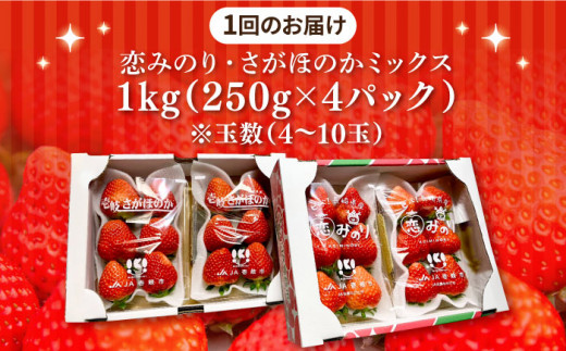 全3回定期便】《2月3月4月お届け》 いちご イチゴ 1kg （ 250g×4パック 