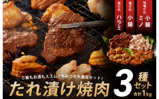 焼肉 3種セット 合計1kg（ハラミ ミノ 小腸）味付け 牛肉