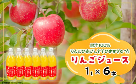 J1064 りんごジュース 1L×6本