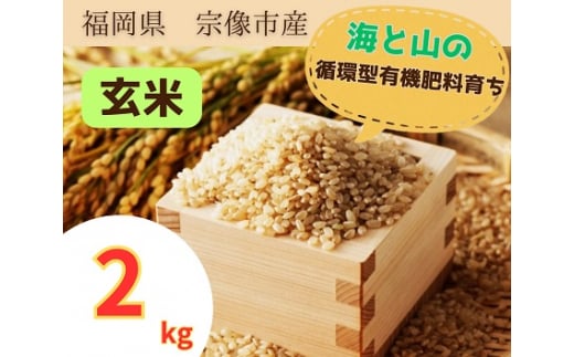 循環型有機肥料で育った玄米（夢つくし）2kg【アグリCATS】_HA1440 1156211 - 福岡県宗像市
