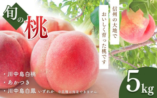 旬の桃(品種おまかせ) 5㎏ 長野県産 1222684 - 長野県千曲市