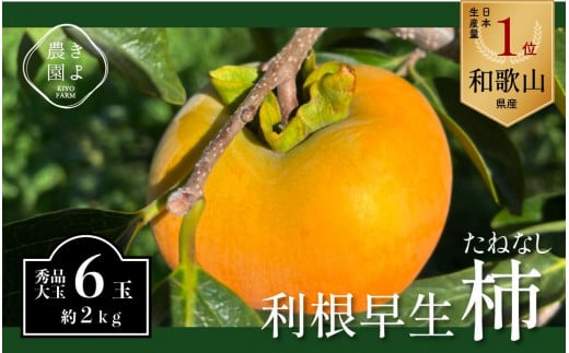 柿(種無し) 6個入 (約2kg)  秀品大玉【2024年9月下旬頃より発送】【KT1】