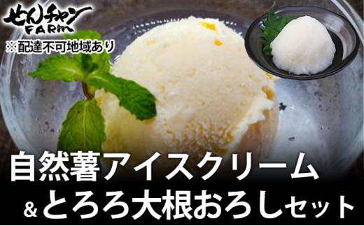 [№5311-0132]コクがあるのに後味すっきり！自然薯アイスクリーム＆とろろ大根おろしセット（6個入り）【配達不可：離島】